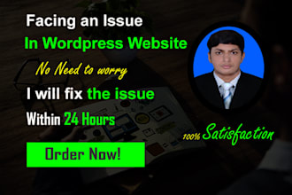 fix wordpress website issues and do wordpress customization