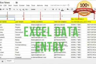 do excel data entry, manual typing, web research, data mining, copy paste work