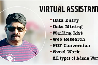 be your expert virtual assistant