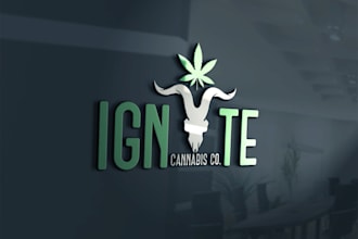 do a logo design