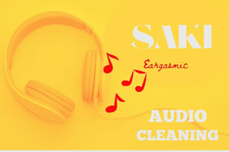 remove noise and clean your audio
