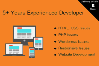 do customization, add payment gateway and website styling