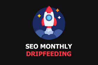do link building high authority SEO backlinks off page and on page service