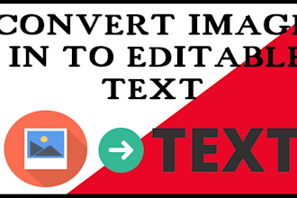 convert pictures to editable text