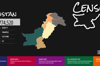 develop web gis mapping solution