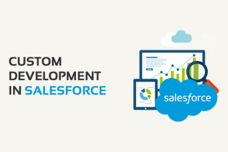 do custom development in salesforce