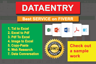 provide you data entry services