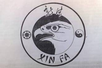 personally train you kung fu
