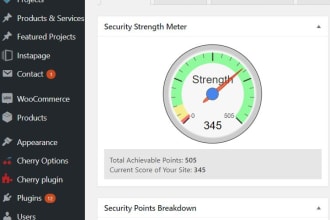 clean malware and will secure your website