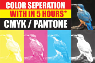 color separation for screen printing cmyk, spot and simulation within 5 hours