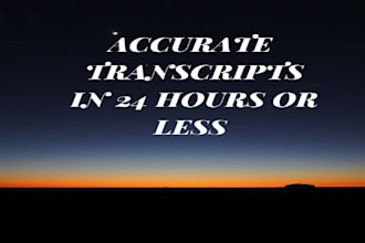 transcibe 20 minutes in 24 hours transcript
