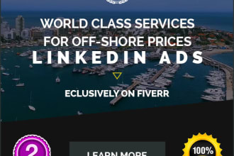 be your PPC manager on linkedin ads