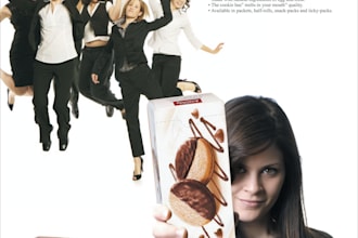 provide professional posters designs