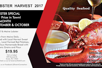 design flayer and brochure menu and manymore