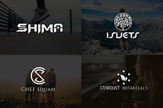 do minimalist logo design in 12hrs