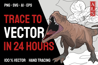 make a fast, cheap and detailed vector from photo in 24 hour