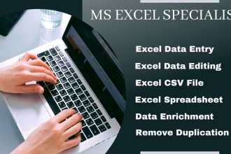 do excel data entry, excel formatting and data enrichment