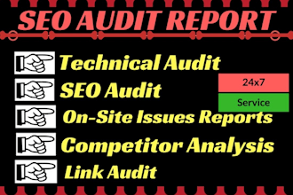 do professional SEO audit
