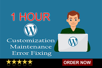 do 3 hour of wordpress customization and error fixing