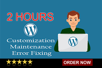 do 2 hours of wordpress customization and maintenance