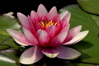 send a future psychic reading for 1, 3 or 6 months ahead