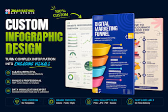 design a professional custom infographic for your business