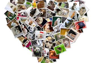 create a creative photo collage and enhance your photos