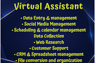 be your virtual assistant for data entry, admin tasks, and research