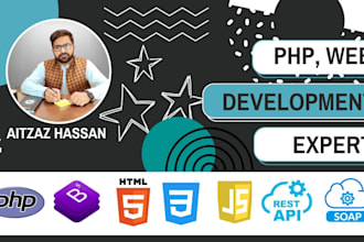 develop erp, pos, inventory or accounting system, integrate apis