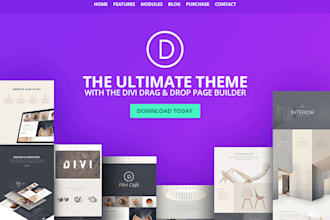 develop a website using divi theme or visual composer