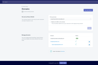set up your existing domain to connect to shopify
