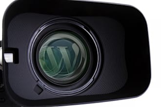 create a video website on Wordpress within 24 Hours
