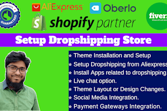 build a dropshipping store with a premium theme