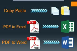 do PDF and typing work into excel or word