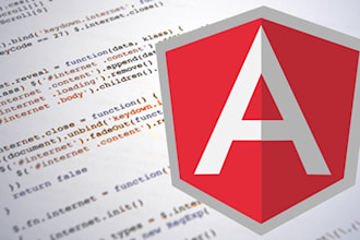 develop angular js web app or fix an existing app