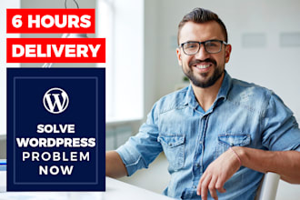 fix wordpress issues in 6 hours