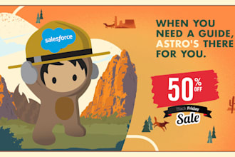 do any salesforce development or integration