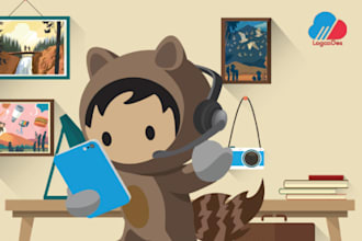 do salesforce configuration and administrative task