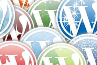 fix Your Wordpress Problem, css issue, plugin error, theme and customization