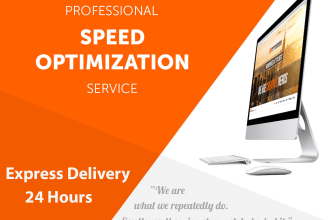 provide professional wordpress speed optimization