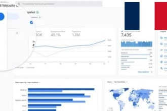 send 20k france visitors for 20 days