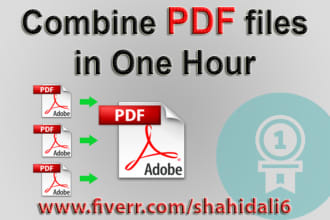 combine PDF in one hour
