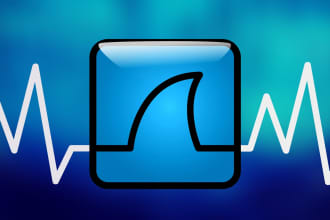 teach wireshark analysis for wired and wireless protocol