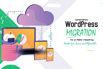 professionally transfer your website to a new server without any data loss