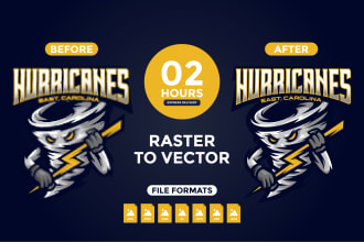 vectorize your image into a vector in 2 hours