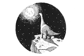 draw an ink illustration