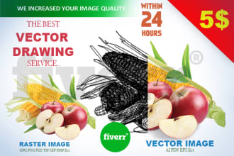 do realistic vector drawing vector tracing for you