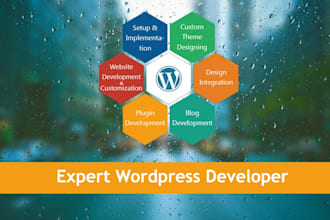 fix any wordpress issue