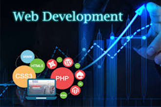 create a word press professional site upon your requirements