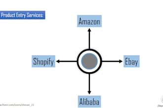 provide you product entry or product listing service
